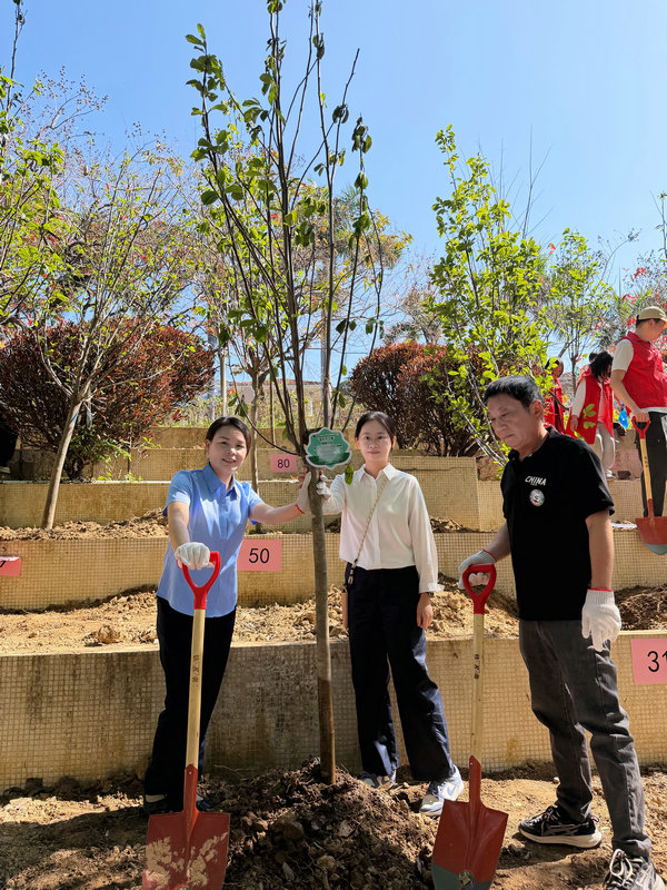 植树活动-4
