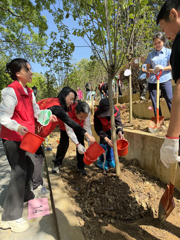 植树活动-5